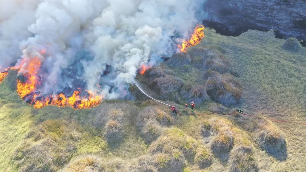 Arequipa registra 31 incendios forestales y más de 3 mil hectáreas destruidas