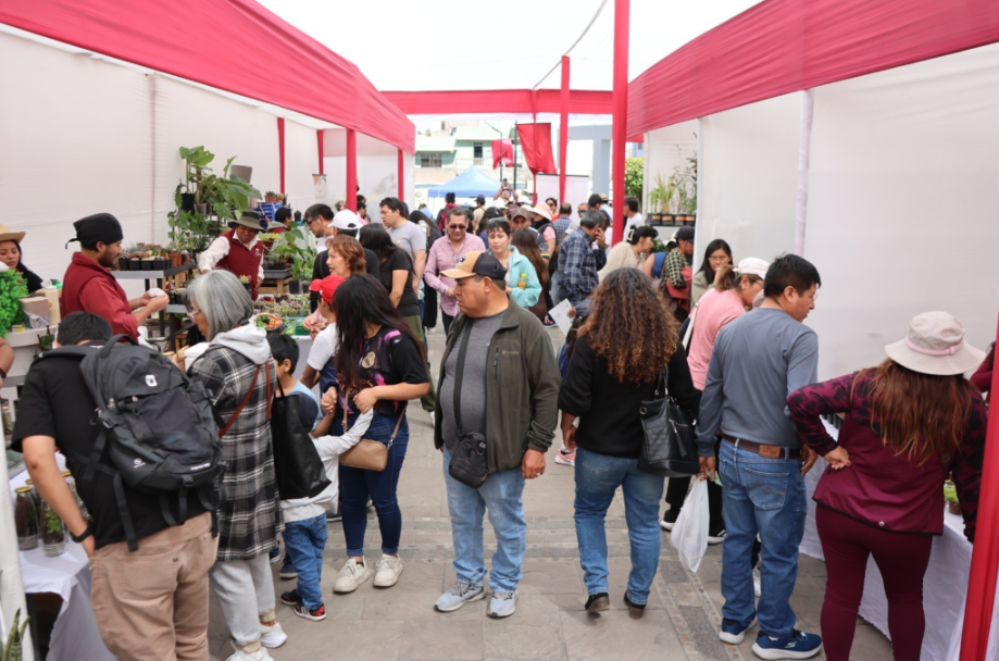 ExpoArequipa Verde y Viva reúne a 37 expositores en la plaza España