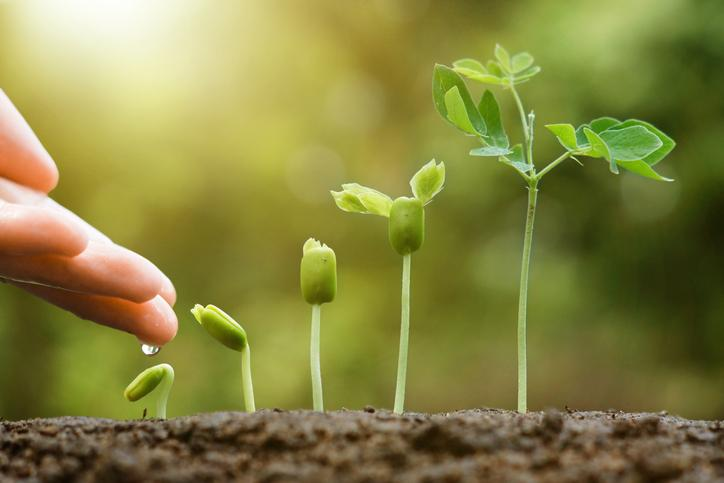 Renacer para crecer