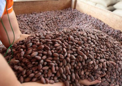 Agroexportaciones crecen 3,3% y alcanzan US$ 5 418 millones