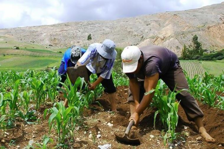 Seguro Agrícola Catastrófico protege productores ante pérdidas climáticas
