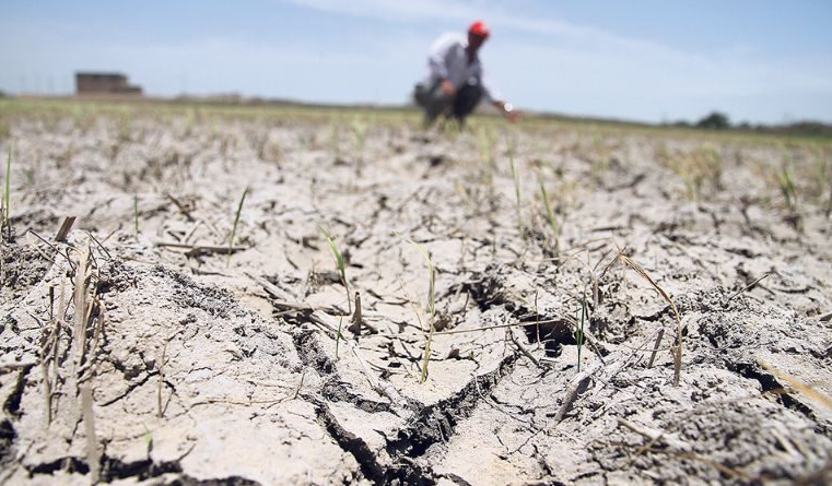 Declaran en emergencia 45 distritos de Arequipa por déficit hídrico