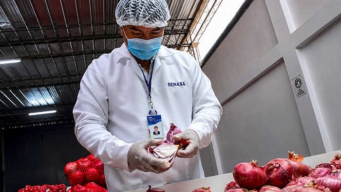 Panamá abre mercado a granada, cebolla y papa peruana