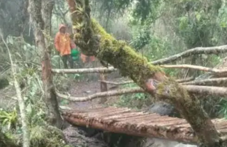 Lluvias afectan ruta del Camino Inca a Machu Picchu y dejan turistas varados