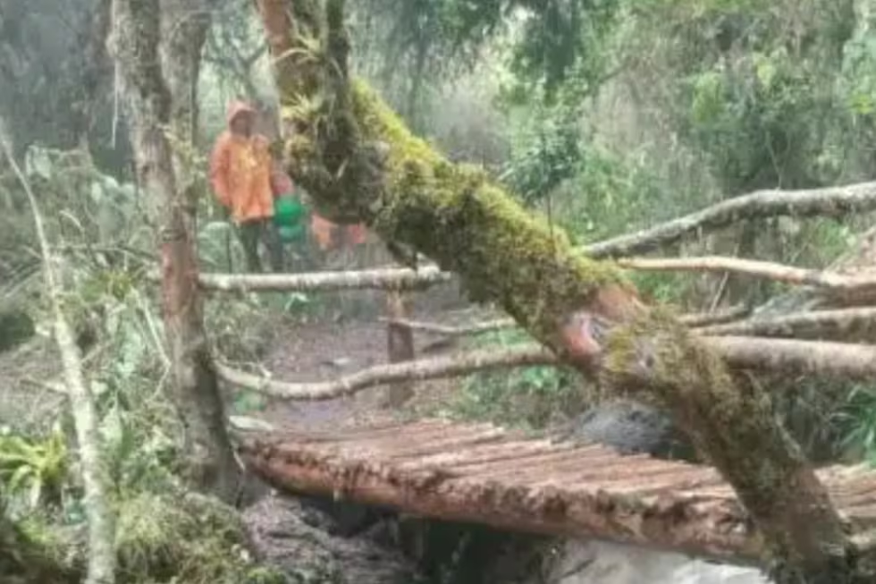 Lluvias afectan ruta del Camino Inca a Machu Picchu y dejan turistas varados