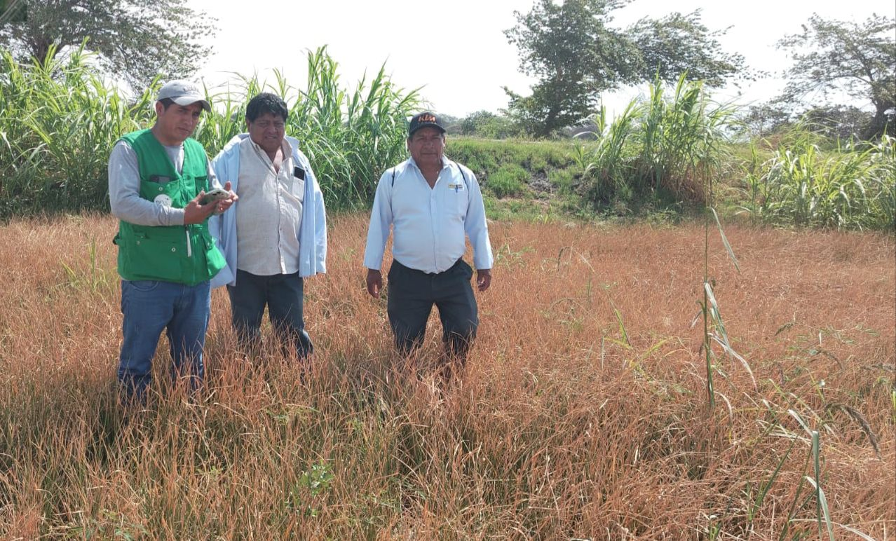 Activarán Seguro Agrario Catastrófico para productores afectados por DANA