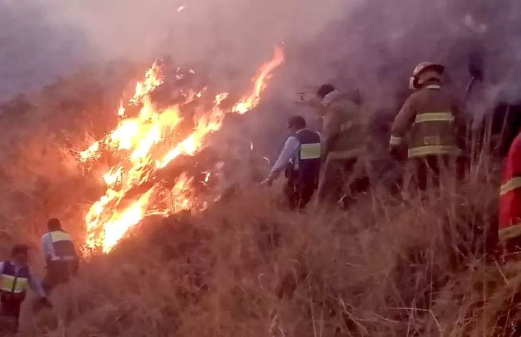 Incendios forestales golpean Arequipa entre julio y agosto