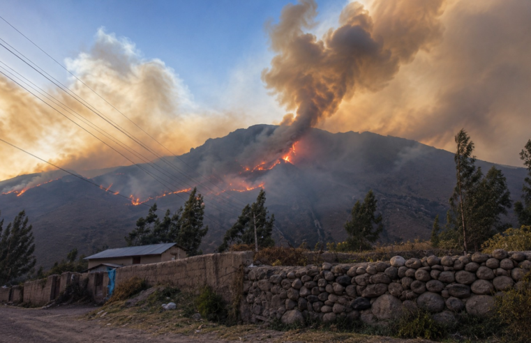 Incendio forestal consume flora y fauna en La Unión