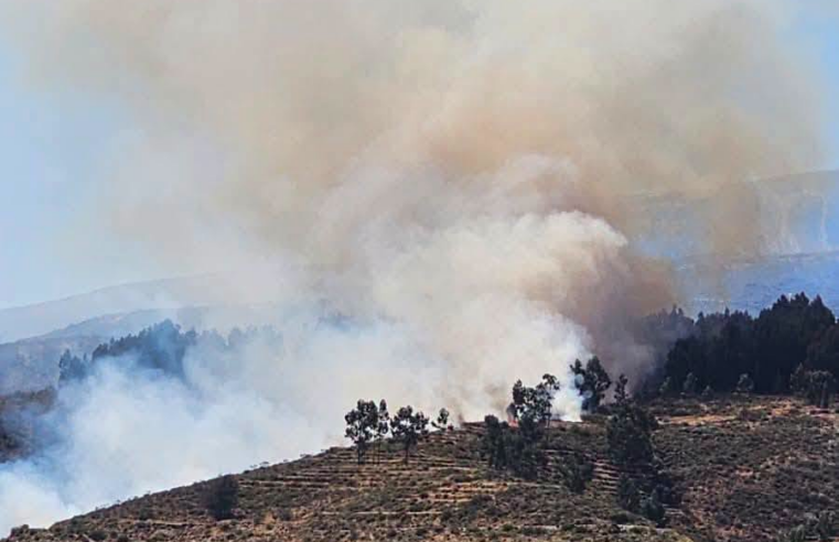Vientos dificultan control de incendio forestal en Chiguata