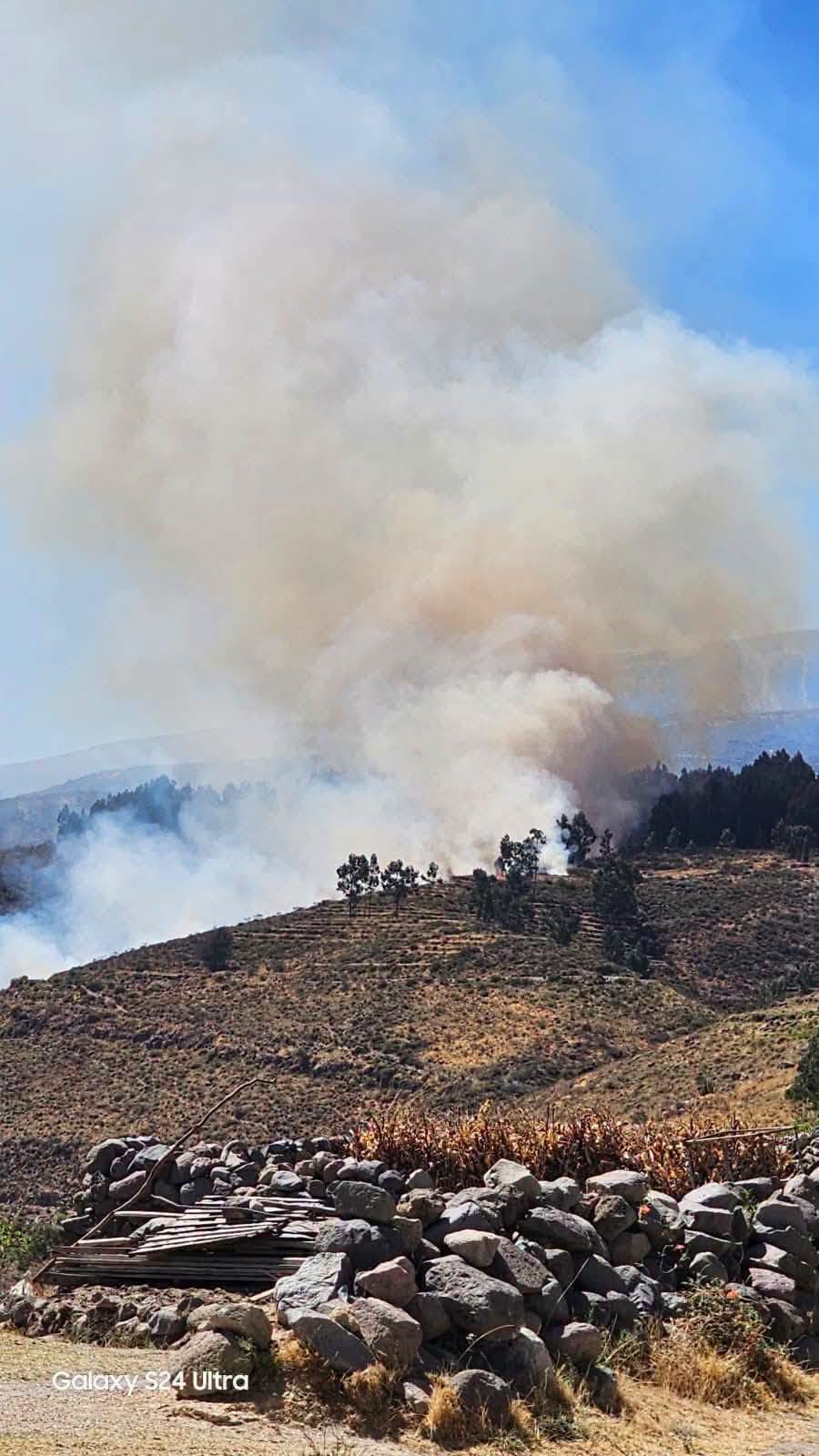 Vientos dificultan control de incendio forestal en Chiguata
