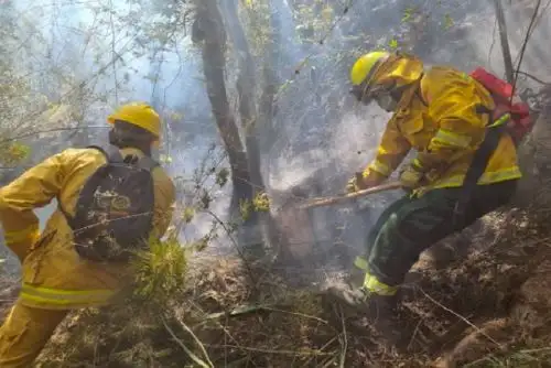 Liquidan incendio forestal en Santuario Histórico de Machu Picchu