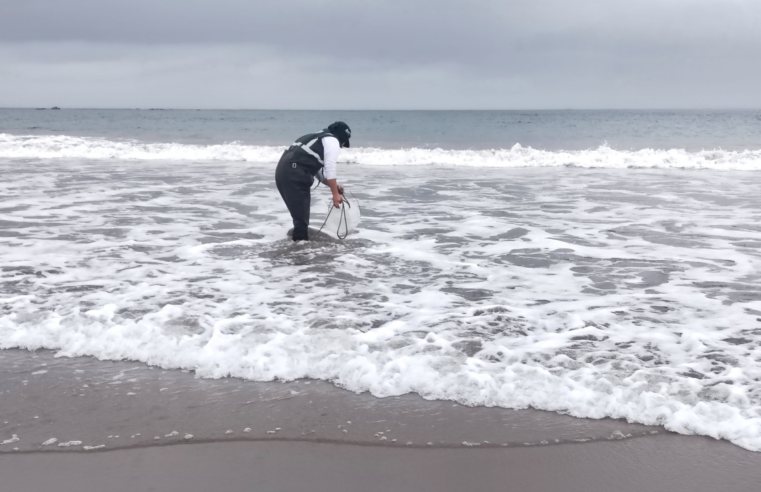 ANA evalúa calidad del agua en el litoral marino