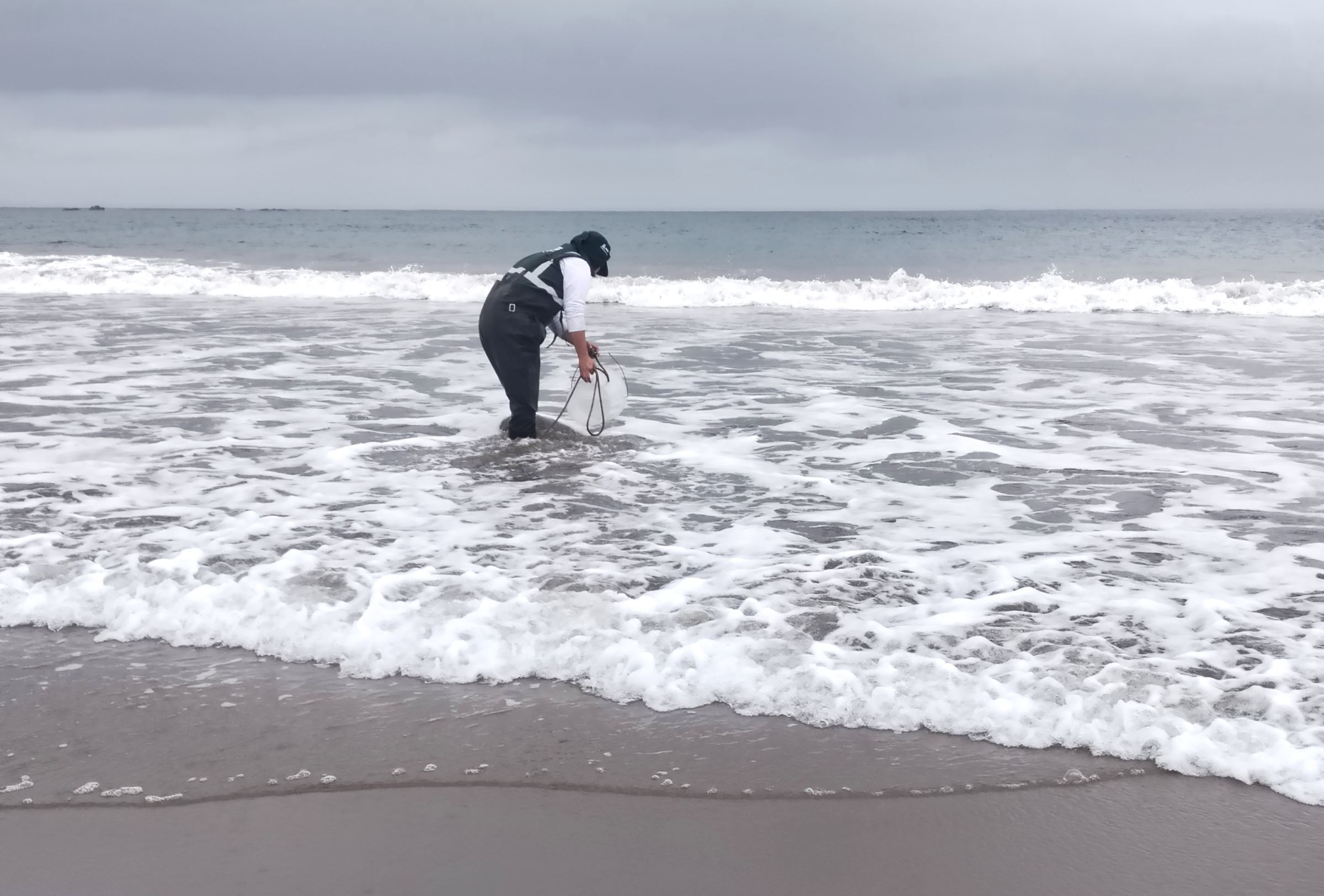 ANA evalúa calidad del agua en el litoral marino