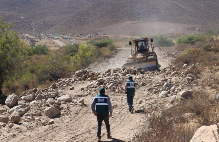 SERFOR inició más de 42 procesos sancionadores por afectación de flora y fauna en Arequipa