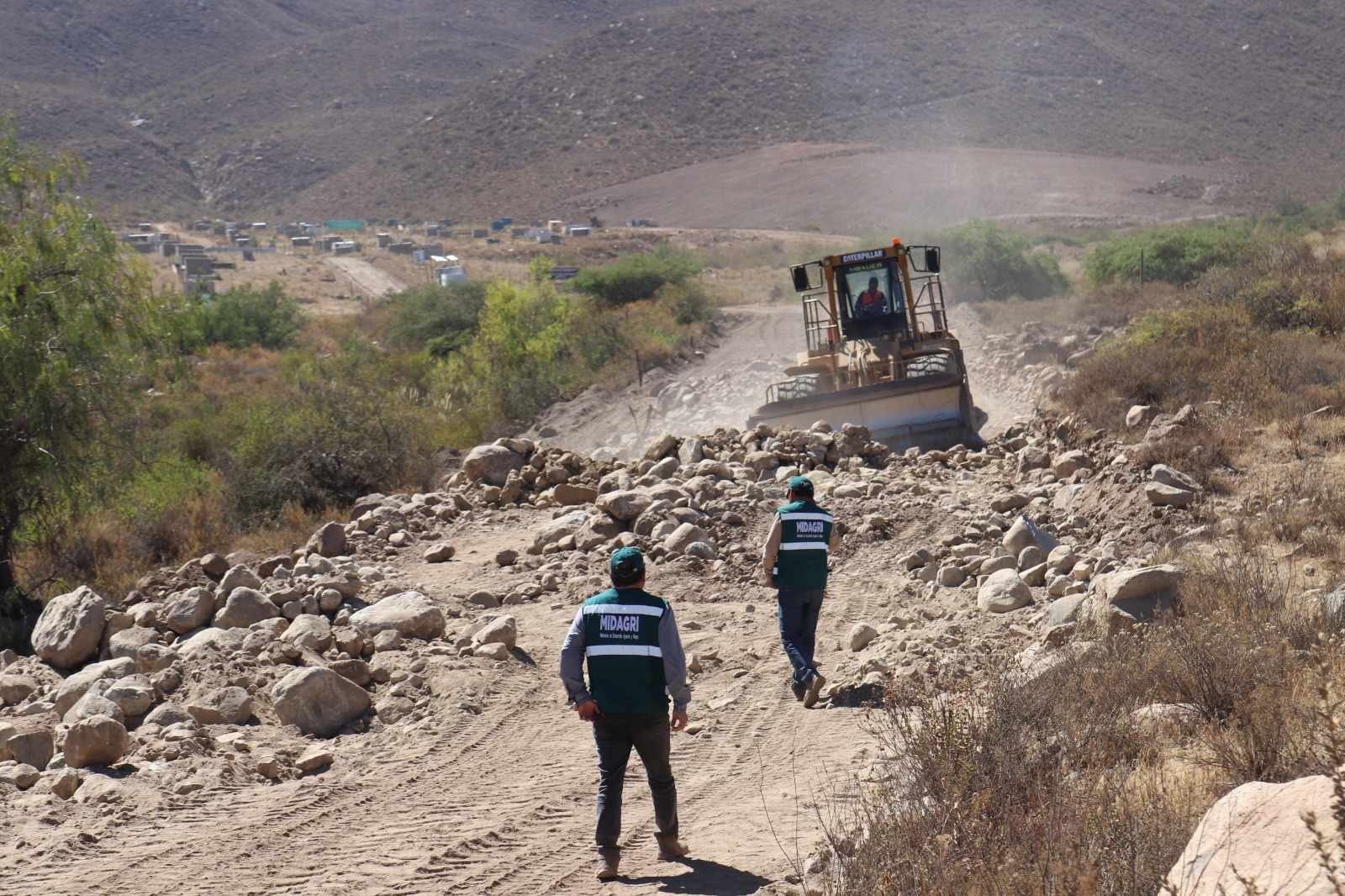 SERFOR inició más de 42 procesos sancionadores por afectación de flora y fauna en Arequipa