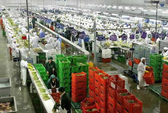 Número de empresas exportadoras del Perú creció 3,7 % entre enero y mayo del 2026