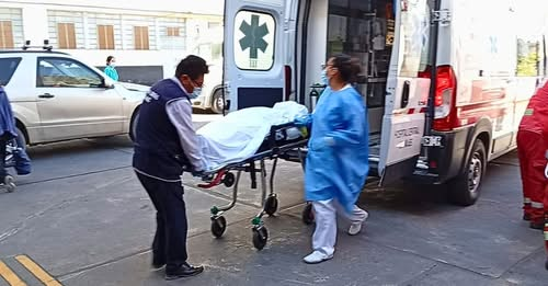 Menor de 15 años muere tras complicaciones por mordedura de araña