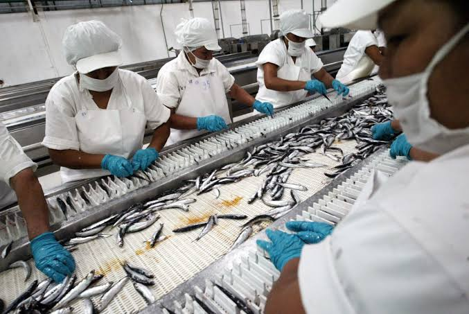 Exportaciones hidrobiológicas superan los US$ 2 100 millones
