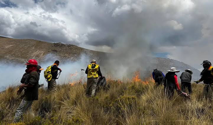 Caylloma, La Unión, Castilla y Arequipa afectadas por incendios forestales