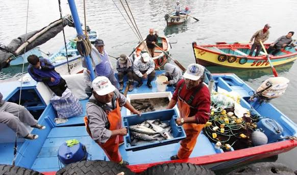 Pesca artesanal, sustento de familias en la región será golpeada por cambio climático