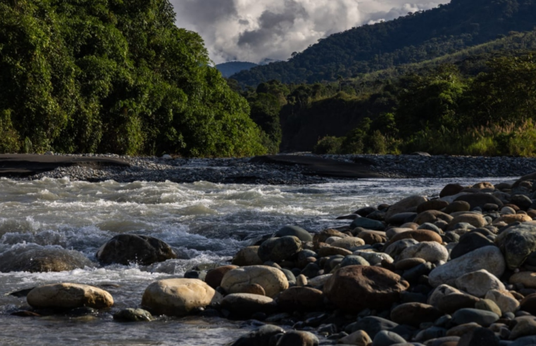Impulsa área de conservación de 56 mil hectáreas en Bosques del Araza