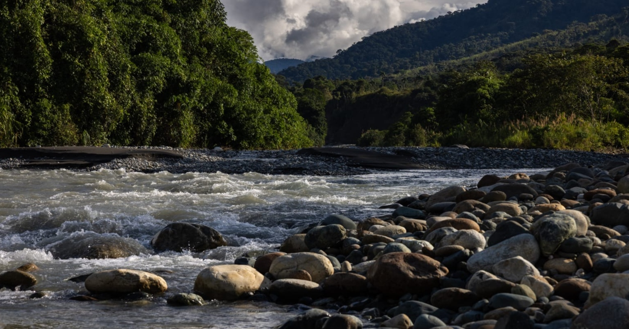 Impulsa área de conservación de 56 mil hectáreas en Bosques del Araza