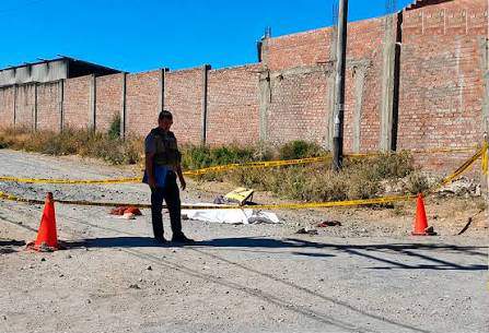 Anciana muere tras feroz ataque de dos perros en Sabandía