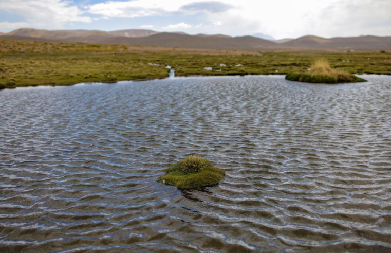 Reserva de Salinas requiere más inversión para proteger fuentes de agua en Arequipa