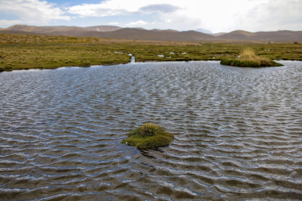 Reserva de Salinas requiere más inversión para proteger fuentes de agua en Arequipa
