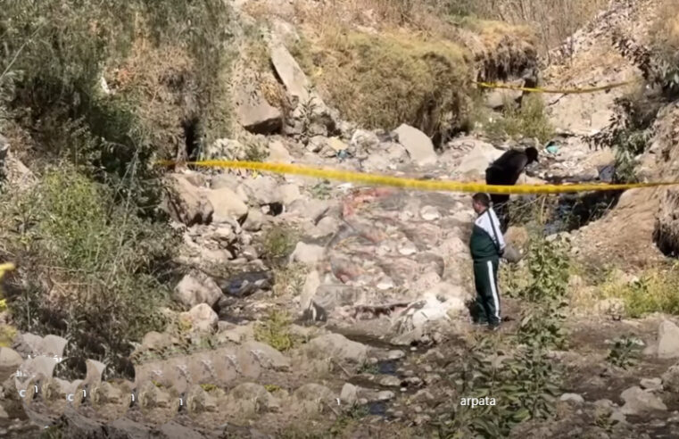 Hallan cadáver de joven en parte alta de Paucarpata