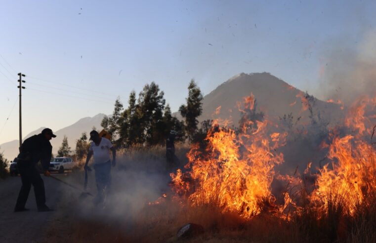 Recientes incendios forestales en Arequipa fueron ocasionados por el hombre