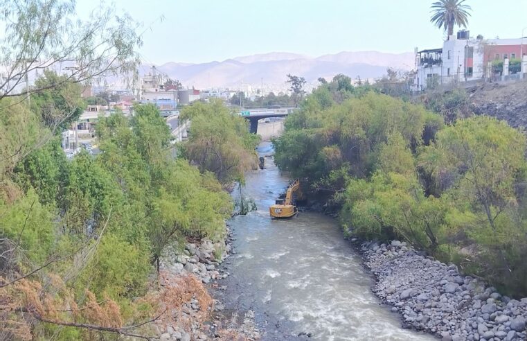 Falta de comunicación oportuna sobre la tala en el río Chili  genera cuestionamientos del Colegio de Arquitectos