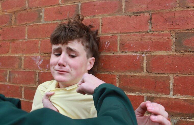 Bullying: ¿Cuáles son las obligaciones de colegios privados para garantizar la sana convivencia de los estudiantes?