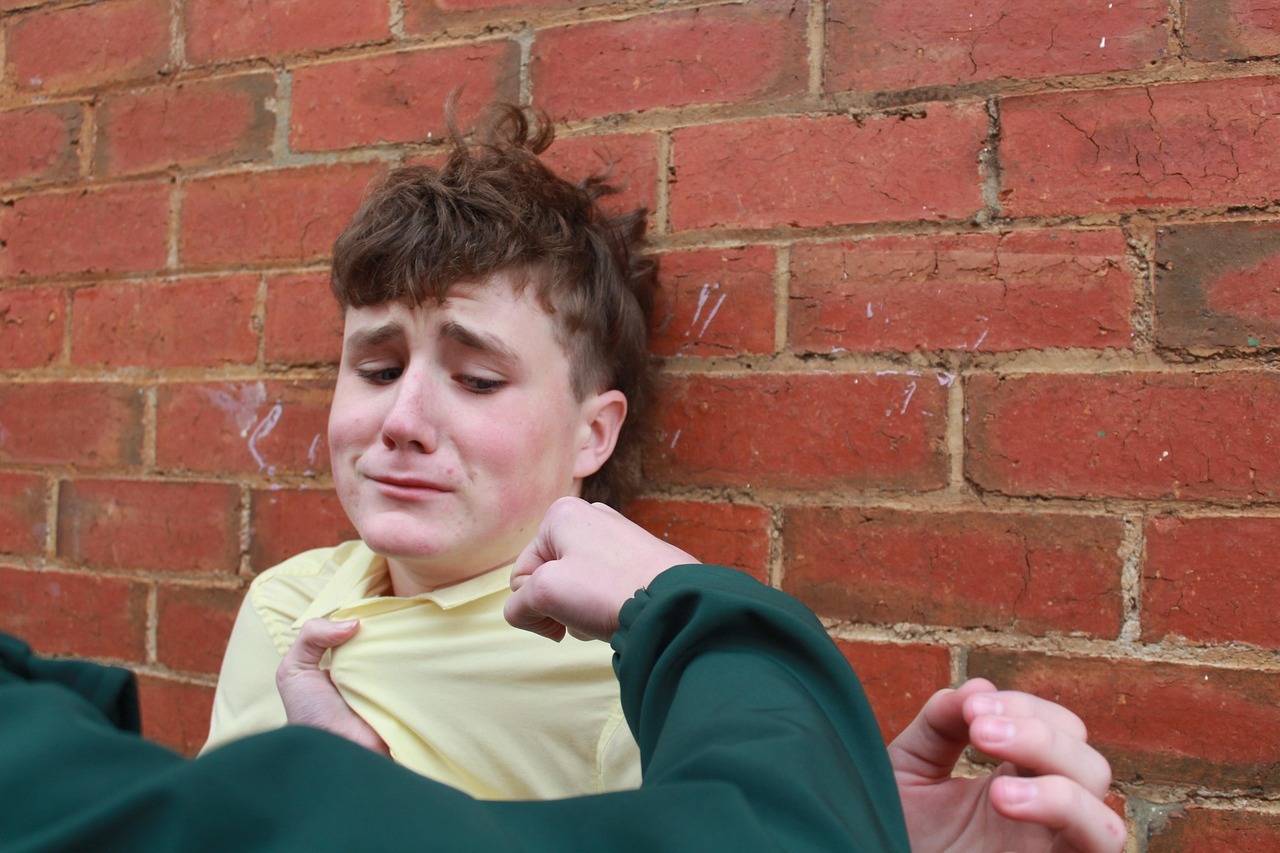 Bullying: ¿Cuáles son las obligaciones de colegios privados para garantizar la sana convivencia de los estudiantes?