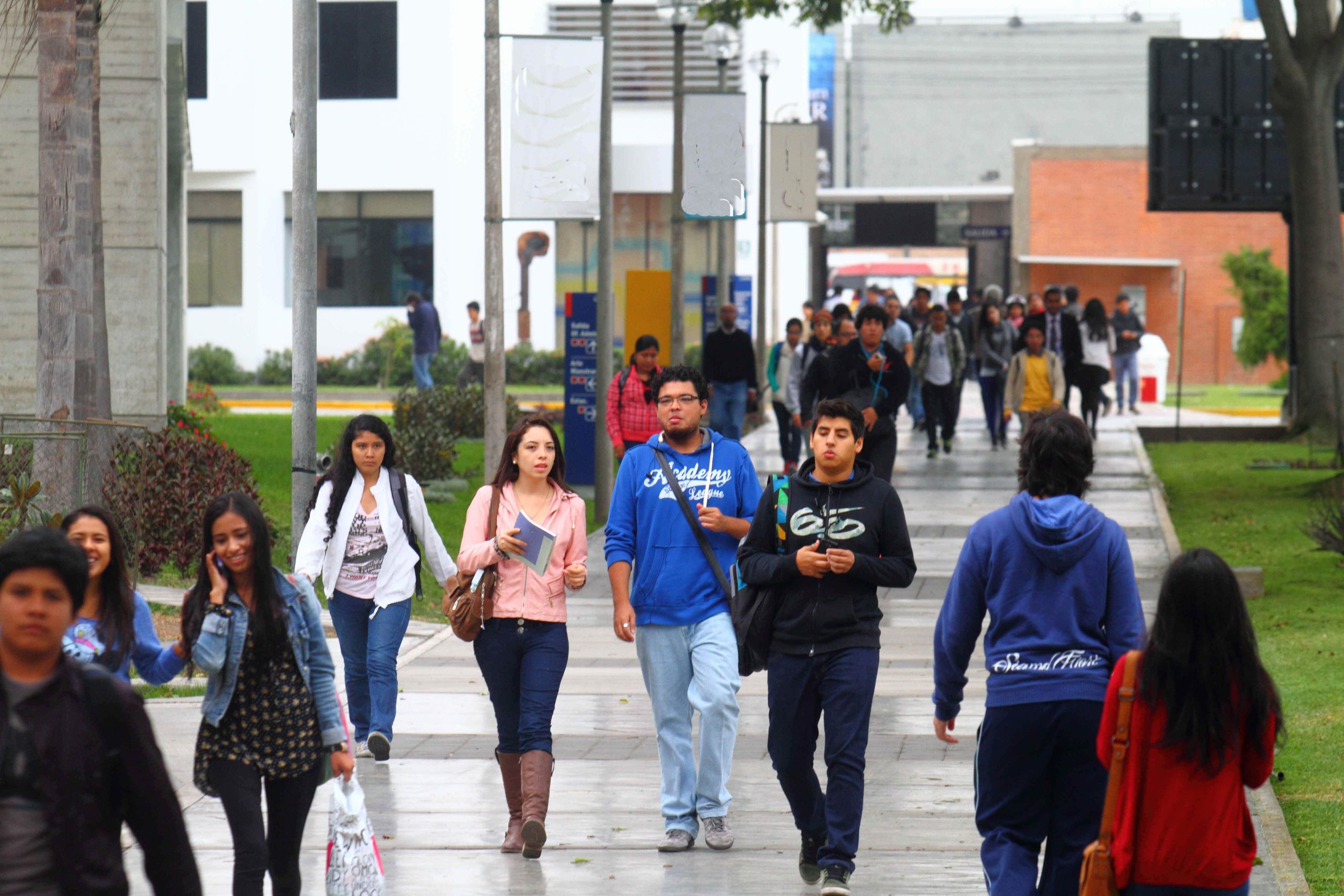 Distancias: joven rural tiene 3 veces menos oportunidades de concluir estudios superiores