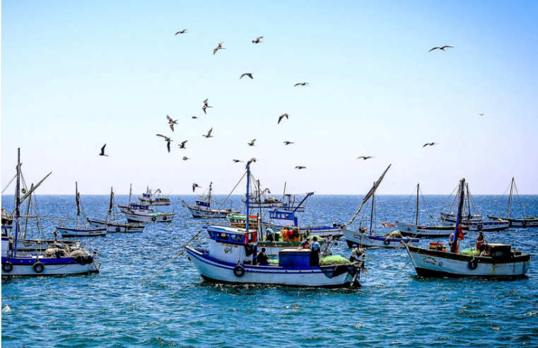 Pesca cae 33 % y Produce activa plan de emergencia ante El Niño