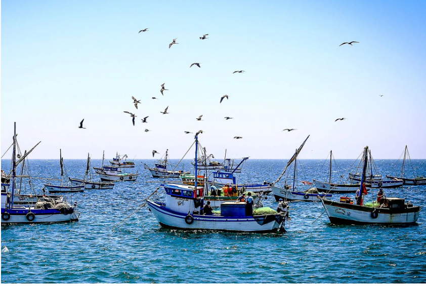 Pesca cae 33 % y Produce activa plan de emergencia ante El Niño