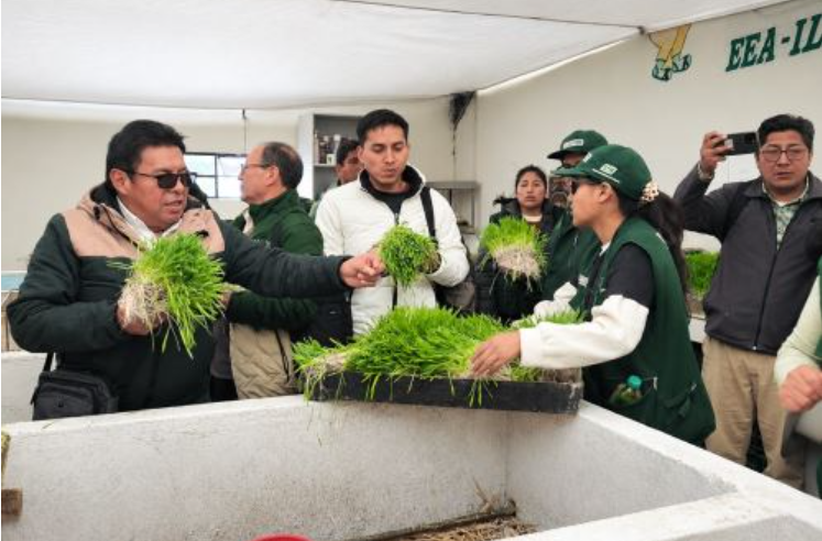 Tecnologías agrarias buscan reducir impacto de El Niño en el agro