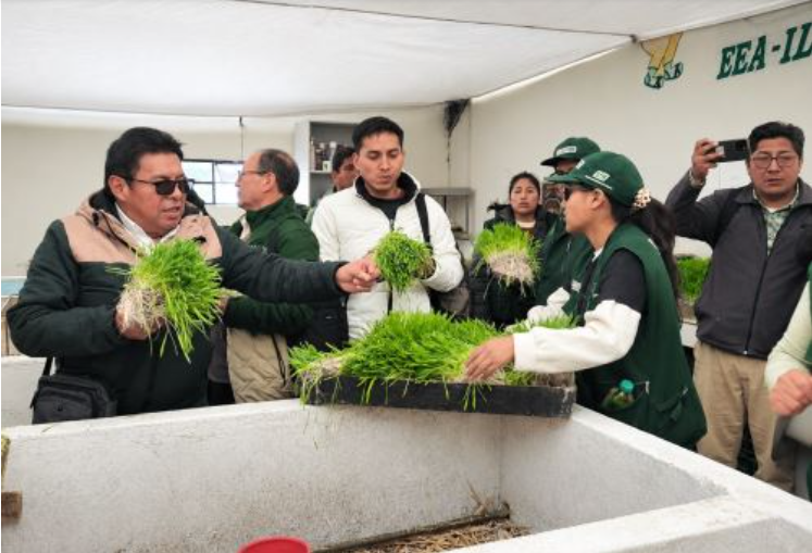 Tecnologías agrarias buscan reducir impacto de El Niño en el agro