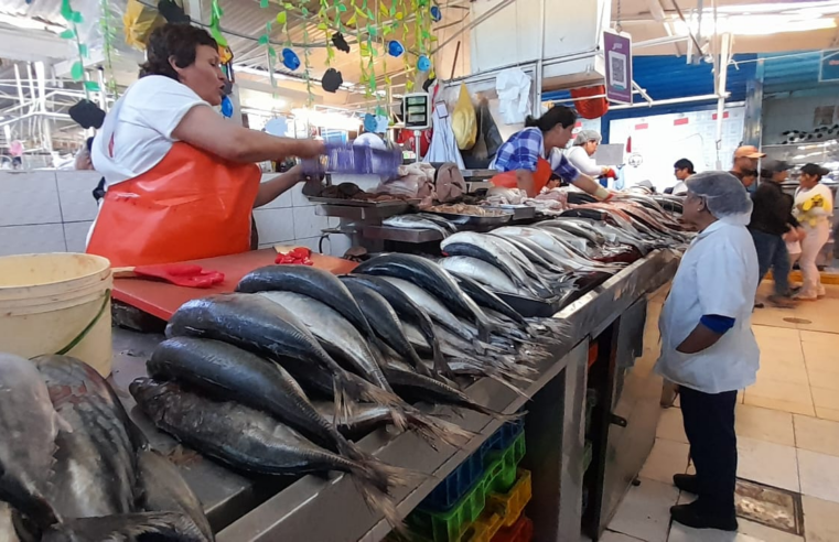 El Niño provoca ausencia de jurel y pota en Arequipa 