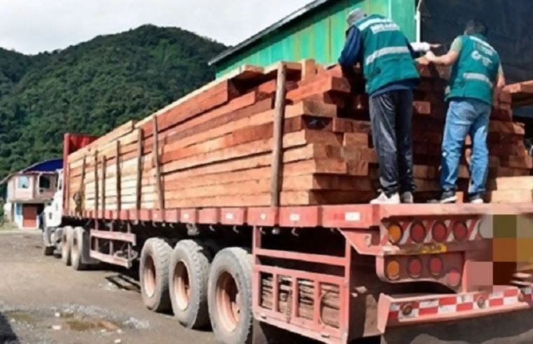 Tres condenas de prisión efectiva por tráfico ilegal de madera