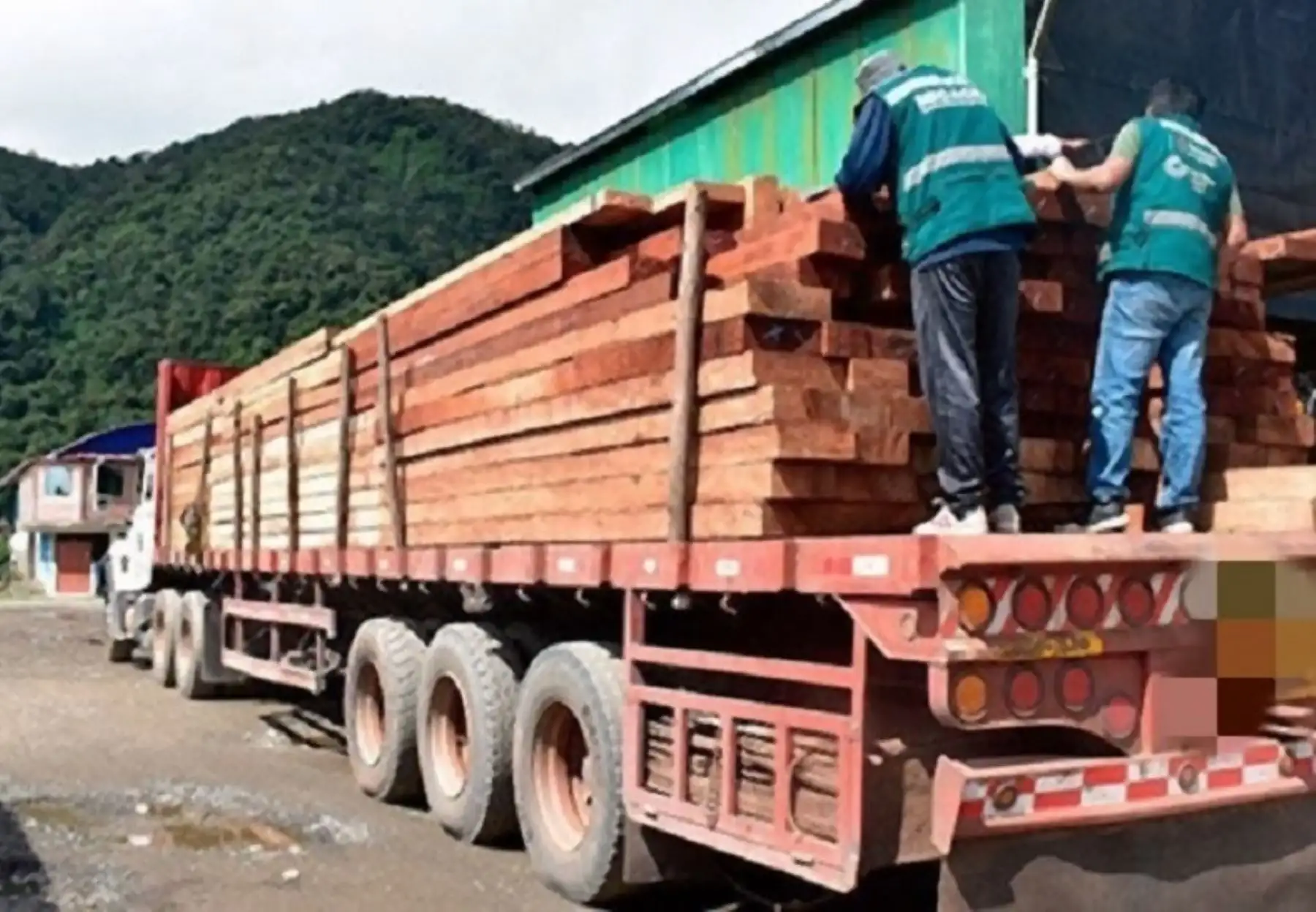 Tres condenas de prisión efectiva por tráfico ilegal de madera
