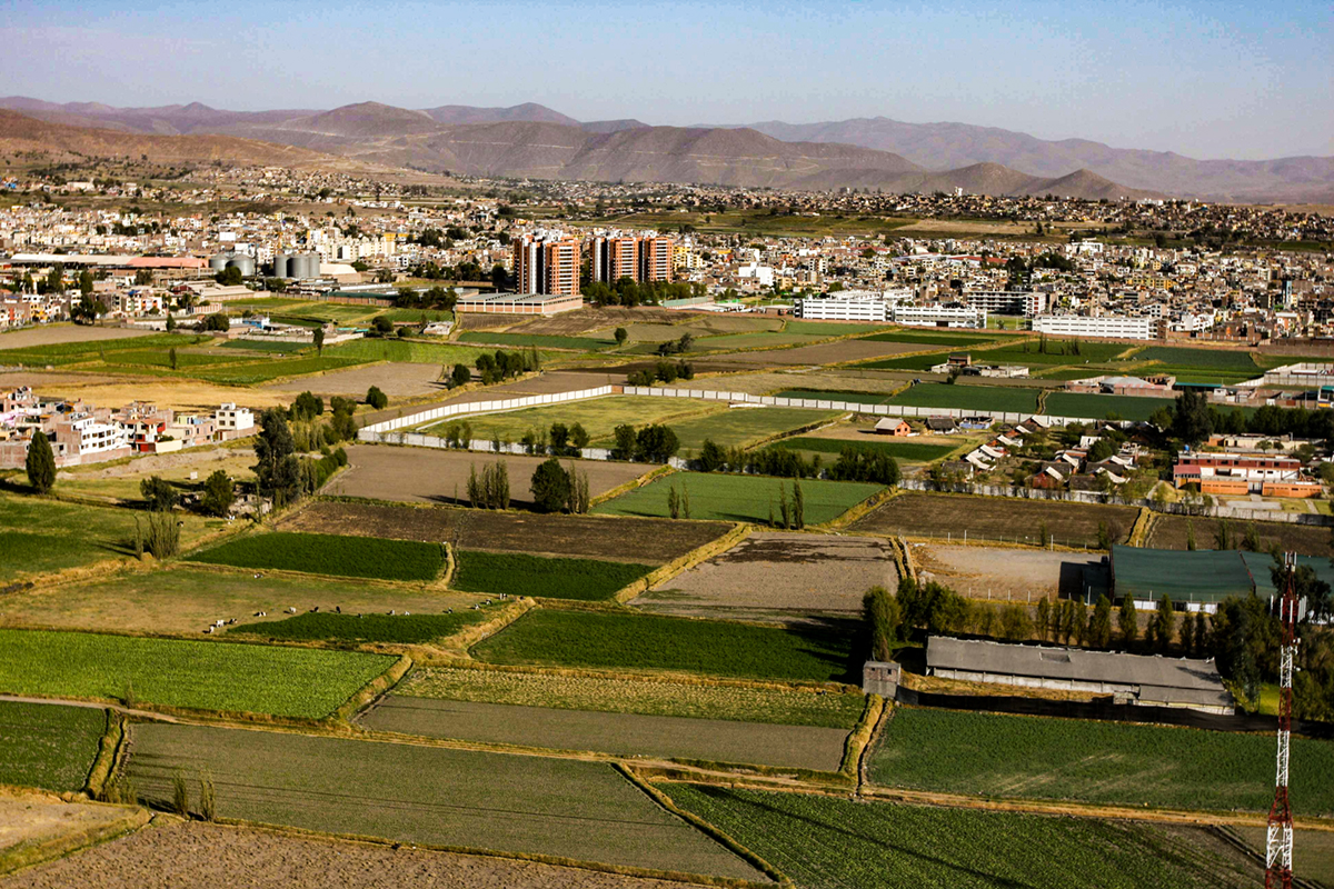 Consejo Regional rechaza derogar ordenanza que protege la campiña