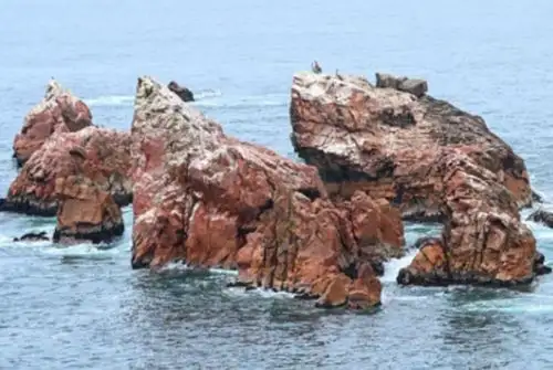 MINAM refuerza vigilancia para proteger la Reserva Nacional de Paracas