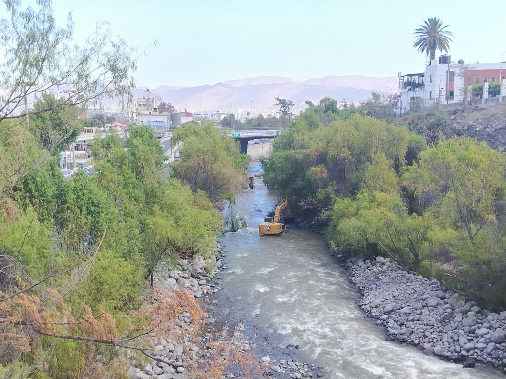 Retirar la vegetación del río Chili deja desprotegida a la ciudad