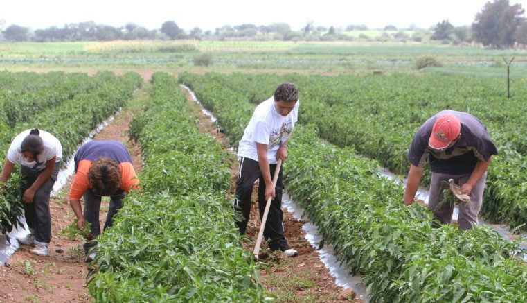 El Niño recorta crecimiento y golpea economía peruana