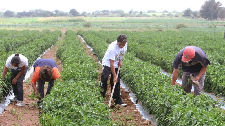 El Niño recorta crecimiento y golpea economía peruana
