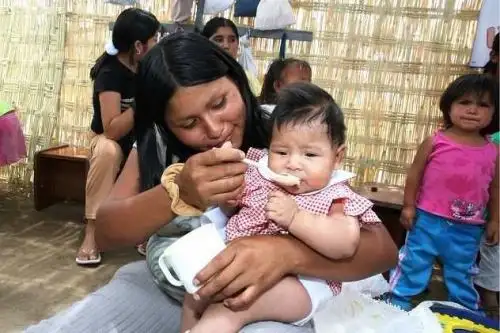 Gobierno busca reducir anemia infantil a 17,8 % en cinco años