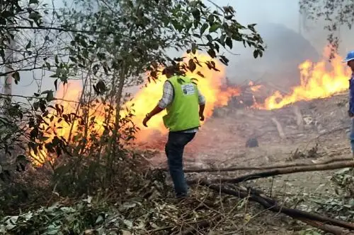 Cuatro incendios forestales fueron sofocados en regiones