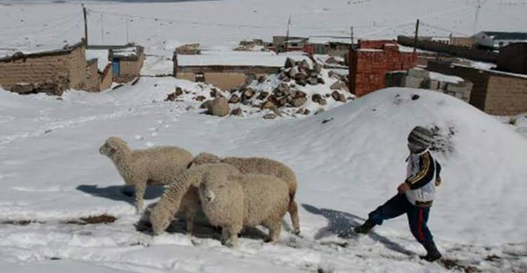 Descenso de temperatura llegará hasta los -17 °C en la sierra de Arequipa